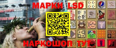 ПСИЛОЦИБИНОВЫЕ ГРИБЫ Кунгур